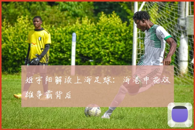 姬宇阳解读上海足球:海港申花双雄争霸背后