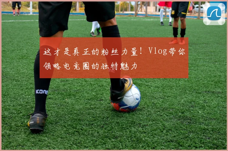 这才是真正的粉丝力量!Vlog带你领略电竞圈的独特魅力
