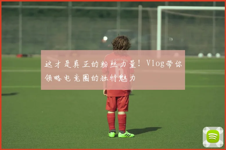 这才是真正的粉丝力量！Vlog带你领略电竞圈的独特魅力