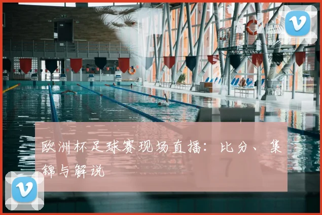 欧洲杯足球赛现场直播：比分、集锦与解说